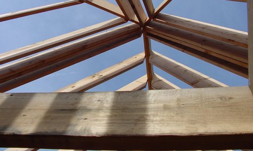 Frank-Mermelstein Roof Framing